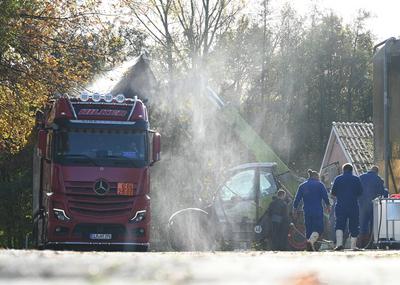 Vogelgrippe in Putenbetrieb: 11.400 Tiere werden in B?sel gekeult.-stock-foto