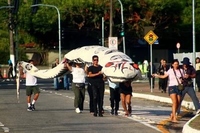The ritual gira brings Amazonian spirituality to the opening of the COP30 leaders' summit.-stock-foto