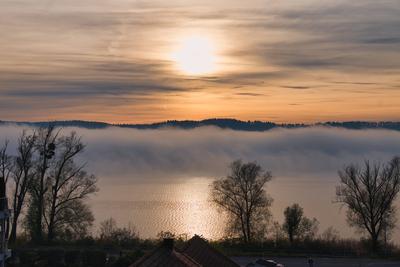 Nebelstimmung am Bodensee bei ?berlingen im November 2025-stock-foto