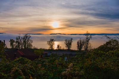 Nebelstimmung am Bodensee bei ?berlingen im November 2025-stock-foto