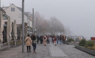 Nebelstimmung am Bodensee bei ?berlingen im November 2025-stock-foto