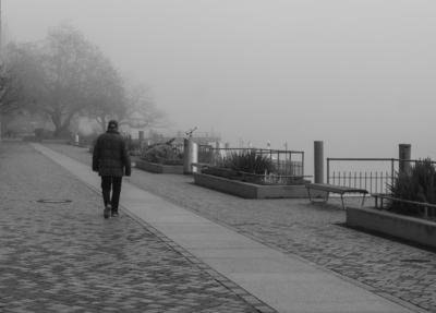 Nebelstimmung am Bodensee bei ?berlingen im November 2025-stock-foto