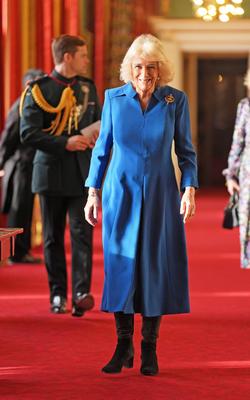 Queen Camilla hosts reception for English National Ballet-stock-foto