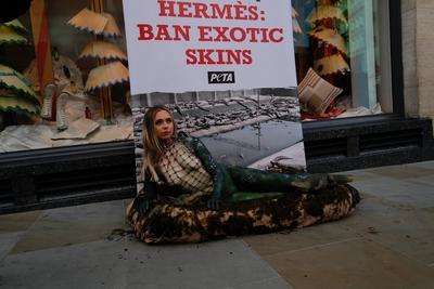 PETA Protest in London-stock-foto