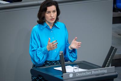 Deutscher Bundestag, 40. Plenarsitzung-stock-foto