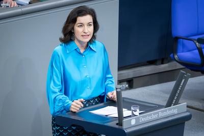 Deutscher Bundestag, 40. Plenarsitzung-stock-foto