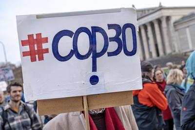 Internationaler Klimastreik von Fridays for Future, Kundgebung  auf dem K?nigsplatz, Demoplakat COP 30,  M?nchen, 14. November 2025-stock-foto