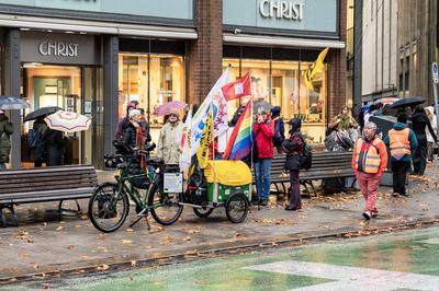 Deutschland: Hamburg, M?nckebergstra?e, Fridays for Future, 14.11.2025, Klimastreik, globaler Klimastreik, 16. globaler-stock-foto
