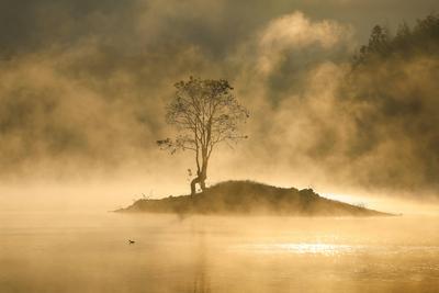 HUANGSHAN, CHINA - NOVEMBER 14: Sunlight envelops Qishu Lake with mist swirling round at the dusk of dawn on November 14-stock-foto