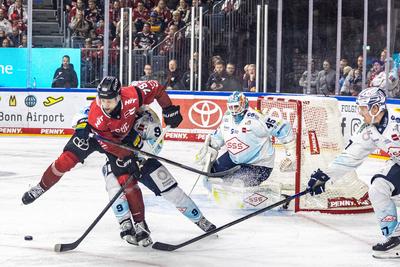 Koelner Haie (KEC) vs. Dresdner Eisloewen, Eishockey, Penny DEL, Spieltag 19, 2025/2026, 16.11.2025-stock-foto