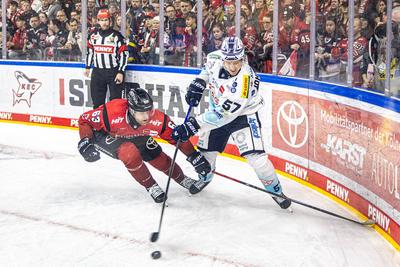 Koelner Haie (KEC) vs. Dresdner Eisloewen, Eishockey, Penny DEL, Spieltag 19, 2025/2026, 16.11.2025-stock-foto