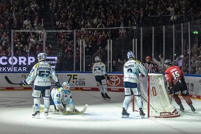 Koelner Haie (KEC) vs. Dresdner Eisloewen, Eishockey, Penny DEL, Spieltag 19, 2025/2026, 16.11.2025-stock-foto