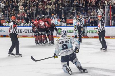 Koelner Haie (KEC) vs. Dresdner Eisloewen, Eishockey, Penny DEL, Spieltag 19, 2025/2026, 16.11.2025-stock-foto