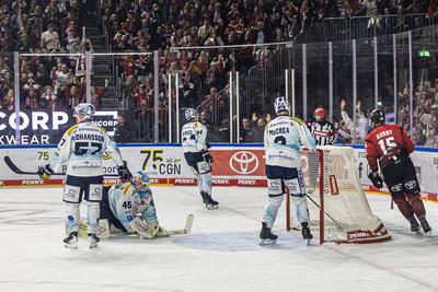 Koelner Haie (KEC) vs. Dresdner Eisloewen, Eishockey, Penny DEL, Spieltag 19, 2025/2026, 16.11.2025-stock-foto