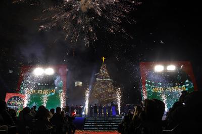 A large Christmas tree is illuminated at Seoul Plaza-stock-foto