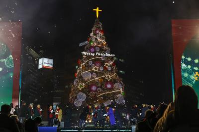 A large Christmas tree is illuminated at Seoul Plaza-stock-foto