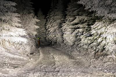 Schnee, Schneeverwehungen und Frost: Winter hat Deutschland weiterhin fest im Griff / Minus 6 Grad und verschneite Landschaft auf dem Fichtelberg in Sachsen / Neuschnee auch in den westlichen Mittelgebirgen und an den Alpen-stock-foto