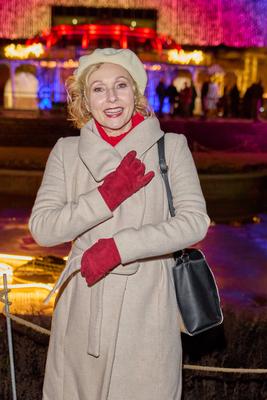 Christmas Garden Berlin 2025-stock-foto