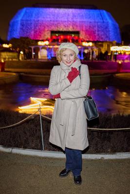 Christmas Garden Berlin 2025-stock-foto