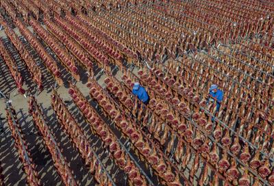 JINHUA, CHINA - NOVEMBER 19: Workers dry ham at Jinhua Jinmao Ham Co., Ltd. on November 19, 2025 in Jinhua, Zhejiang Pro-stock-foto