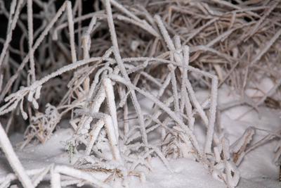 Schnee, Schneeverwehungen und Frost: Winter hat Deutschland weiterhin fest im Griff / Minus 6 Grad und verschneite Landschaft auf dem Fichtelberg in Sachsen / Neuschnee auch in den westlichen Mittelgebirgen und an den Alpen-stock-foto