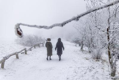Winter im Taunus-stock-foto
