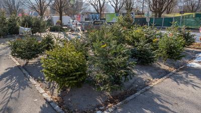 21.12.2021 / Innsbruck, Tirol, ?sterreich / Bild: Verkauf von Christb?umen / Christbaum, Weihnachtsb?ume, Weihnachtsbau-stock-foto