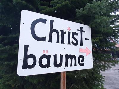 Winden Themenbild - Weihnachtsbaumverkauf, Christbaumverkauf, Privatverkauf Themenbild - Weihnachtsbaumverkauf, Christba-stock-foto