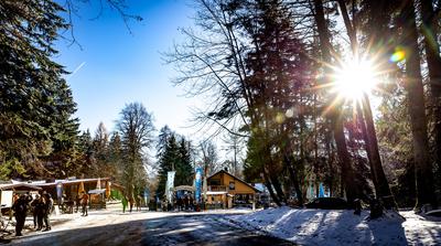 22.11.2025 - Winteridylle bei strahlendem Sonnenschein: Das Ausflugslokal Zum Fuchstanz unweit des Gro?en Feldberg bei S-stock-foto