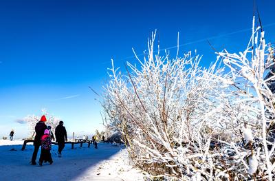 22.11.2025 - Winteridylle: Impression vom Gro?en Feldberg bei Schmitten im Taunus (Hessen). Bei strahlendem Sonnenschein-stock-foto