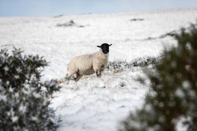 Peak District Weather Hazard-stock-foto