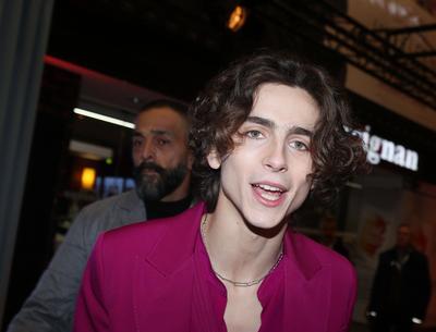 CELEBRITES : Avant premiere du film Little Women avec l acteur Americain Timothee Chalamet - Paris CELEBRITES : Avant p-stock-foto