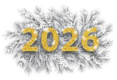 Frozen twigs, snow and golden text 2026 on the white background.-stock-foto