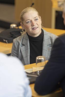 Thueringer Landtag Plenum-stock-foto