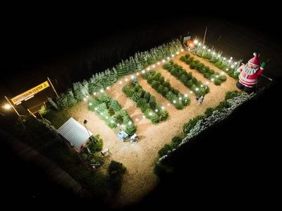 Weihnachtszeit - Christbaum-Verkauf-stock-foto