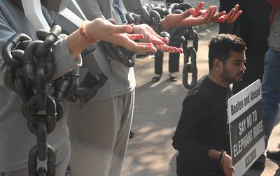 PETA India Protest Against Elephant Rides-stock-foto