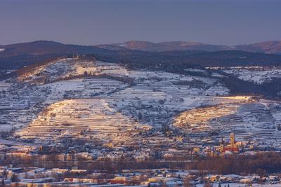 view to district Stein, vineyards in snow, view from G?ttweig Abbey Krems an der Donau Nieder?sterreich, Lower Austria A-stock-foto