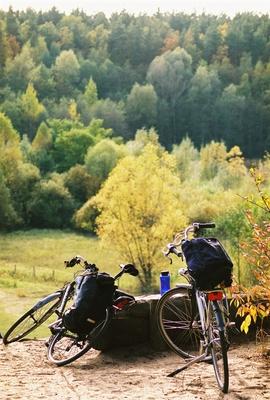 Berliner Forst Grunewald, Berlin-stock-photo