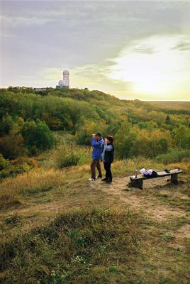 Berliner Forst Grunewald, Berlin-stock-foto