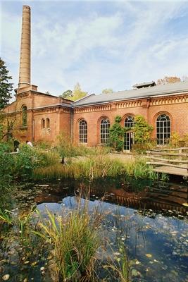 Berliner Forst Grunewald, Berlin-stock-photo