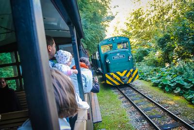 Lillafüredi Állami Erdei Vasú-stock-foto