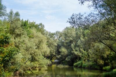 Túr-csatorna-stock-foto