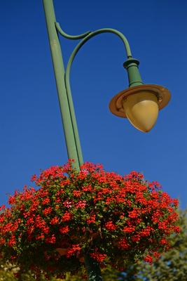 Kandeláber muskátlival Budaörsön-stock-foto