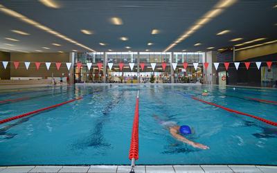 Budaörs, Városi Uszoda és Sportcsarnok-stock-foto