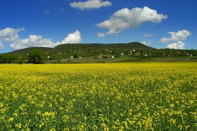 Szentbékkálla a Káli medencében-stock-foto