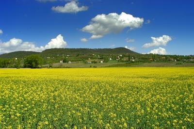 Szentbékkálla a Káli medencében-stock-foto