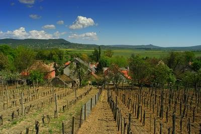 Mindszentkálla a Káli medencében-stock-foto