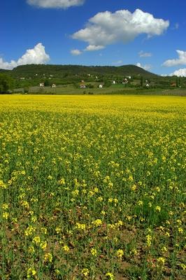 Szentbékkálla a Káli medencében-stock-foto