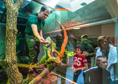 Pécs, az Állatkert-stock-foto