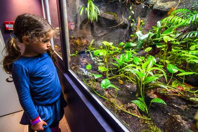 Pécs, az Állatkert-stock-foto